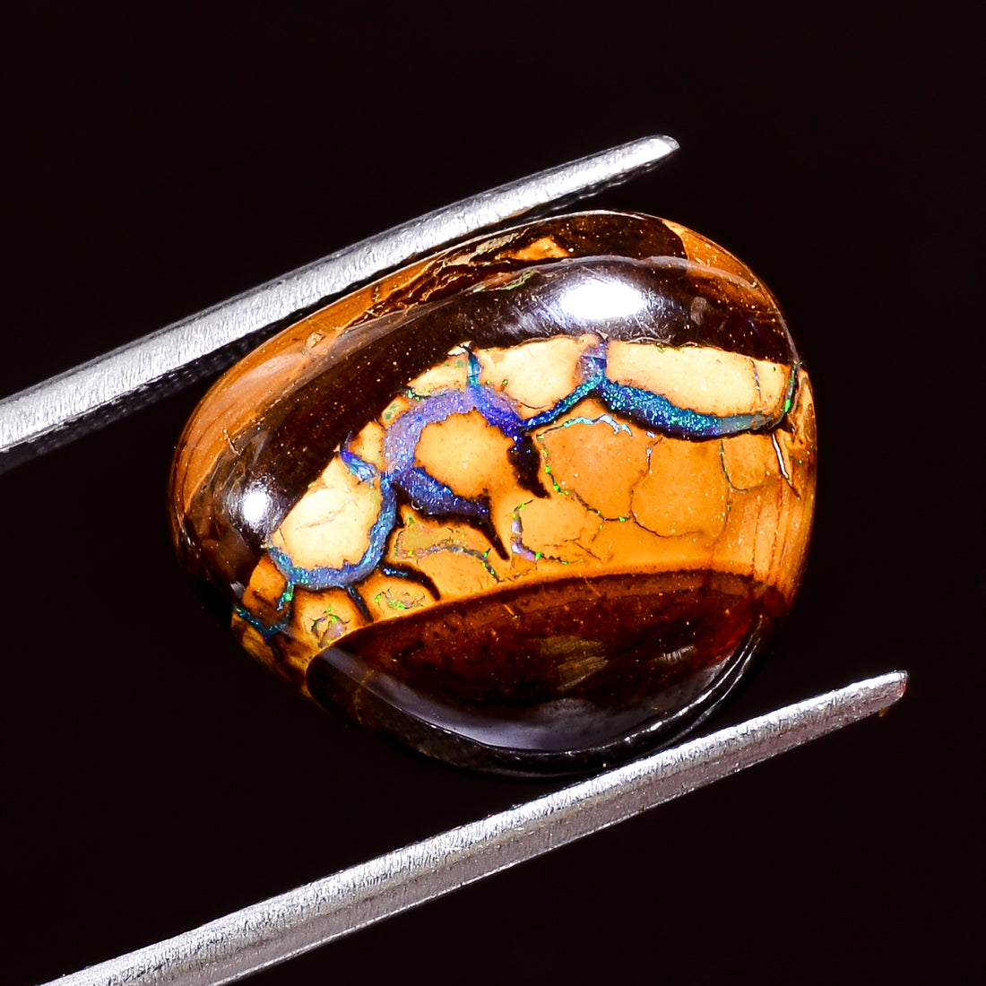 Natural Boulder Opal Fancy Shape Cabochon Loose Gemstone 10.5 Ct. 17X14X5 mm Y-8190
